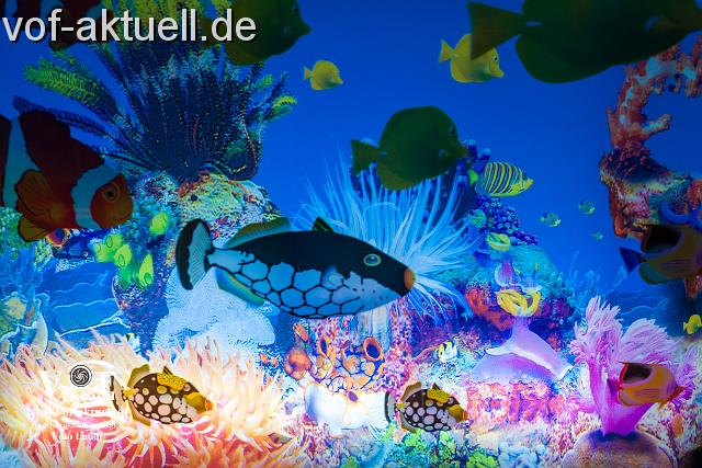 Foto Laudi_Ergo_VOF-63.jpg